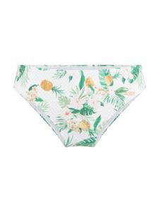 Плавки бикини Linga Dore, цвет botanic druck