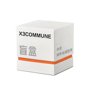 Слепая коробка с милым мягким тряпичным кукольным кулоном X3COMMUNE, 2 Pack (Style Random Color)