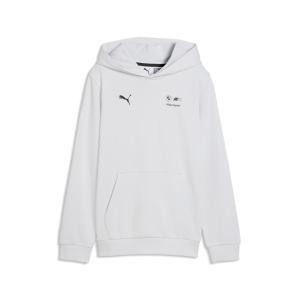 PUMA Толстовка 'Essentials' в сером цвете