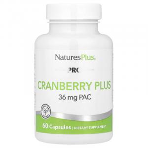 NaturesPlus, PRO Cranberry Plus, 350 мг, 60 капсул