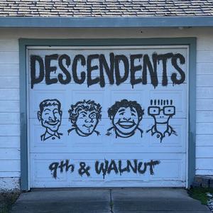 Виниловая пластинка LP 9th & Walnut - Descendents