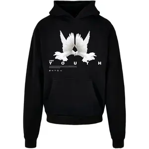 Худи Lost Youth Dove, черный