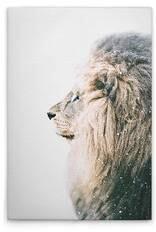 Картина на холсте A.S. Création Lion In Snow цвет weisscremebeigeschwarz