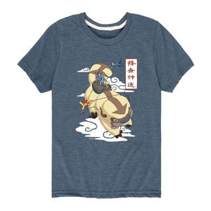 Футболка с летающим рисунком «Аватар: последний маг воздуха» для мальчиков 8–20 лет Licensed Character, синий