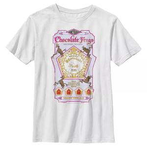 Футболка с рисунком шоколадных лягушек Гарри Поттера для мальчиков 8–20 лет Harry Potter