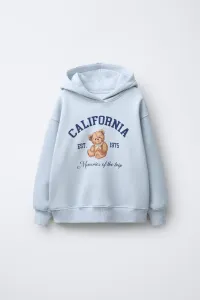 Zara Худи с изображением медведя