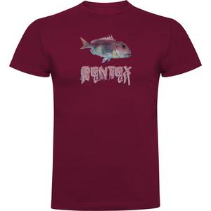 Футболка Kruskis Dentex, красный