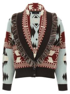 'Иконка' Чертополох Alanui, мультиколор