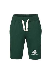 Шорты спортивные шорты стандартной посадки Rock Creek, зеленый