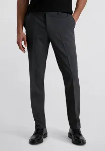 Райан в современных брюках Pierre Cardin, Grau