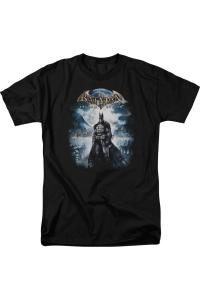 Футболка с коротким рукавом для взрослых Batman Arkham Asylum Game Cover Gildan, черный