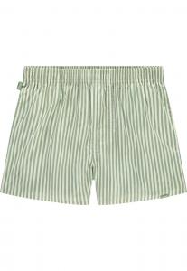 Боксерские шорты Pockies, зеленый