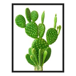 Картина Any Image Cactus, 62x82x2,6 см