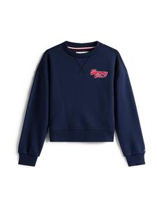 Толстовка TOMMY HILFIGER, Navy