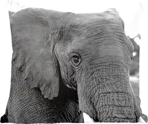 Декоративная подушка для дивана, декоративная подушка для гостиной, 45x45 см, слон, животные, черный, белый, натуральный, подушка для сна, подушка для дивана MuchoWow