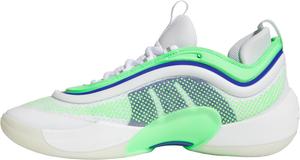 Баскетбольные кроссовки Adidas D.o.n. Issue 5 для взрослых унисекс, белый/синий/зеленый