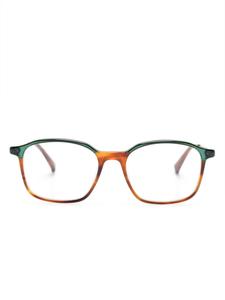 Очки Рокко Etnia Barcelona, коричневый