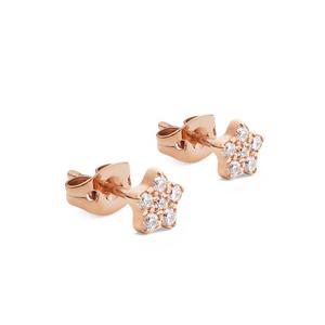 Серьги-гвоздики Daniel Wellington Alloy для женщин DW/DanielWellington