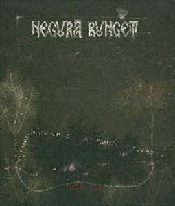 Диск DVD Focul Viu