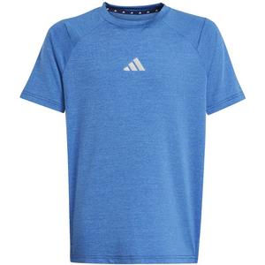 Футболка для детей, которые любят все виды спорта Adidas, мультиколор