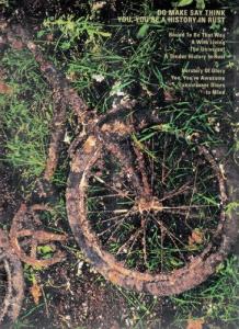 Виниловая пластинка Do Make Say Think: You You're a History in Rust