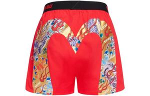 Мужские трусы Evisu