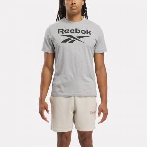 Футболка Reebok Identity Big Logo / REEBOK IDENTITY BIG LOGO TEE