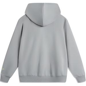 Спортивный свитшот серии Trend для мужчин Moon Plate Gray LINING, серый