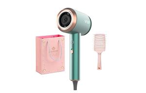 Фен 1800W с отрицательными ионами для ухода за волосами, термостат и быстрая сушка, холодный и горячий воздух, BW V10 AORISSE, v10-holly зеленый [styling comb]