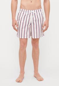 Шорты для плавания FINE STRIPE STRIPED CORE PRINTED SWIM TRUNKS Bather, белый
