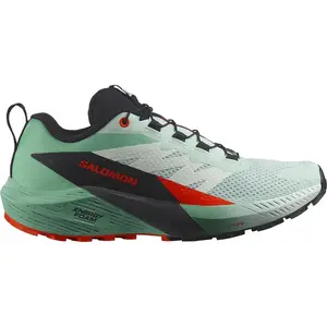 Походные беговые кроссовки Salomon Sense Ride 5, зеленый