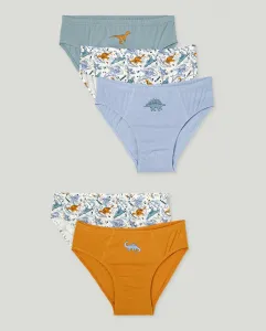 Пять детских трусов-слипов Cotton Juice, многоцветный