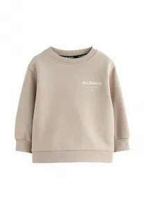 Обычная посадка, молодежная толстовка с круглым вырезом в стиле андеграунд Smallsaints, Taupe Brown