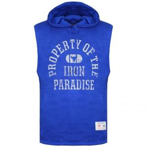 Мужская синяя толстовка Under Armour Project Rock Under Armour, синий