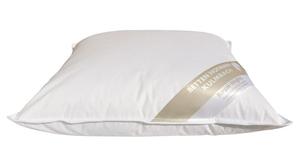 Подушка Hofmann Bayern подушка 50х50 см перьевая подушка 30% пух 450г Betten Hofmann