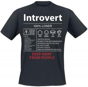 Футболка Sprüche Introvert, черный