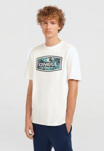 Футболка O'Neill GRAPHIC, Snow White/White