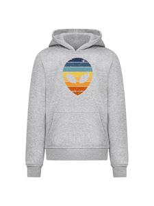 Толстовка F4NT4STIC Alien Sonnenuntergang Retro, серый