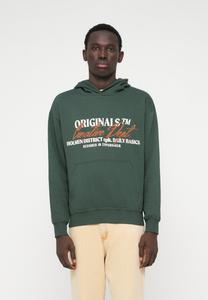 Толстовка Jack & Jones JORBEDFORD TYPO HOOD, Sycamore/Dark Green