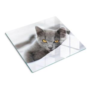 TULUP Стеклянная тарелка 60x52 см, серый кот