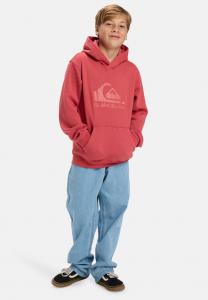 Худи Quiksilver LOGO HOODIE YOUTH UNISEX, Mineral Red/Red
