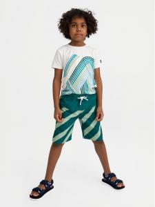 Пляжные шорты regular fit Papaija 5200155B Reima, зеленый