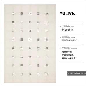 Y U-LIVE Ковер 200×300 см из диатомита, водонепроницаемый, устойчивый к пятнам, для гостиной, модель New Model, моющийся