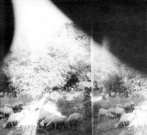 Диск CD Asunder, Sweet And Other Distress - Godspeed You! Black Emperor