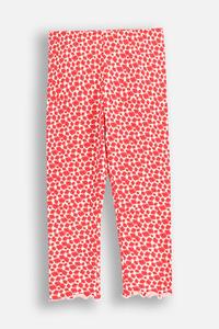 Детские леггинсы Coccodrillo, красный