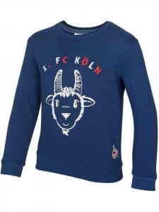 Толстовка Fußballverein 1. FC Köln, синий