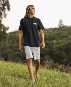 Мужские шорты Taxer Amphibian Quiksilver, серебряный