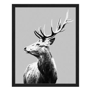Картина Any Image Red Deer, 42x52x2,6 см