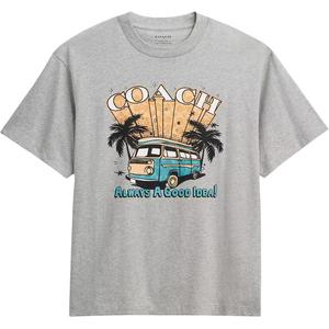 Футболка мужская серая COACH, серый