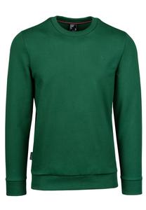 Толстовка CREWNECK FLORENTIN Spitzbub, цвет grün